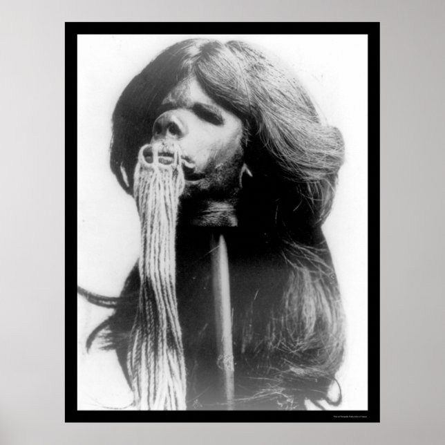 Shrunken Head in Ecuador 1894 Poster (Vorne)