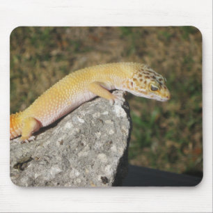 SHTCT LeopardGecko Mousepad