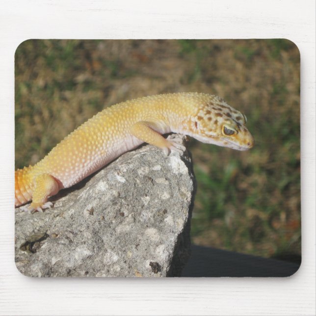 SHTCT LeopardGecko Mousepad (Vorne)