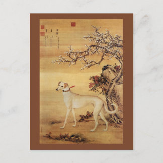 Shuanghuayao~霜 鹞 ~ Greyhound ~Giuseppe Castiglione Postkarte