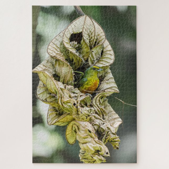 Shy Bird, Olive Euphonia Puzzle (Vertikal)