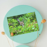Shy Deer Funny Wildlife Geburtstag Karte<br><div class="desc">Eine humorvolle Geburtstagskarte für einen,  der versucht,  seinen Geburtstag zu verbergen! Die Karte zeigt das Foto eines Hirsches,  das sich im Pinsel versteckt. Wählen Sie aus einer matten oder glänzenden Stilkarte.</div>
