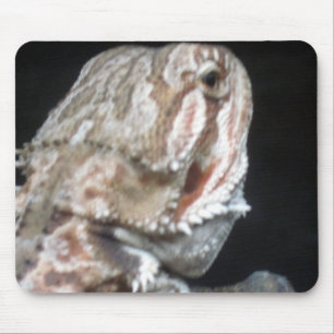 Shy Dragon Mousepad
