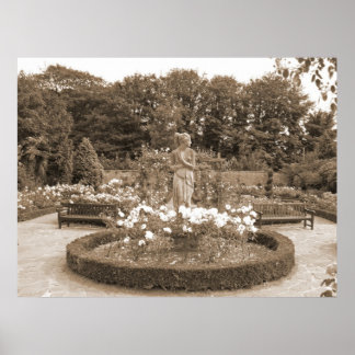 Shy Girl in den Rose Poster