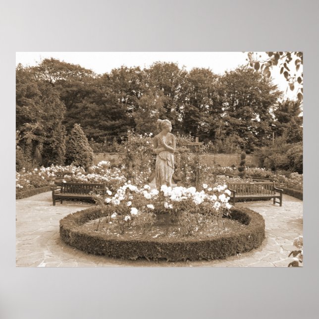 Shy Girl in den Rose Poster (Vorne)