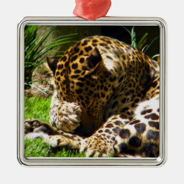 Shy Leopard Ornament Aus Metall (Vorne)