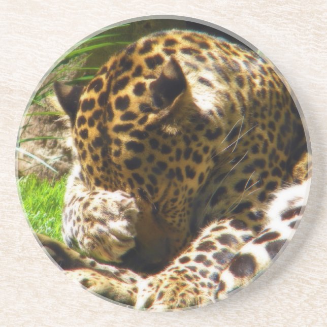 Shy Leopard Untersetzer (Vorne)