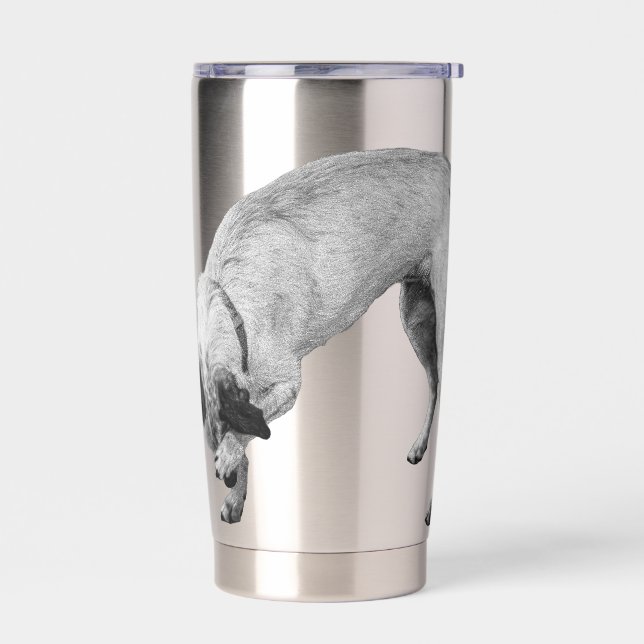 Shy-Nose Terrier Cheer Thermobecher (Links)