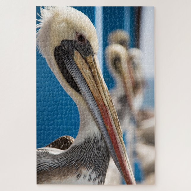 Shy pelican am Strand Puzzle (Vertikal)