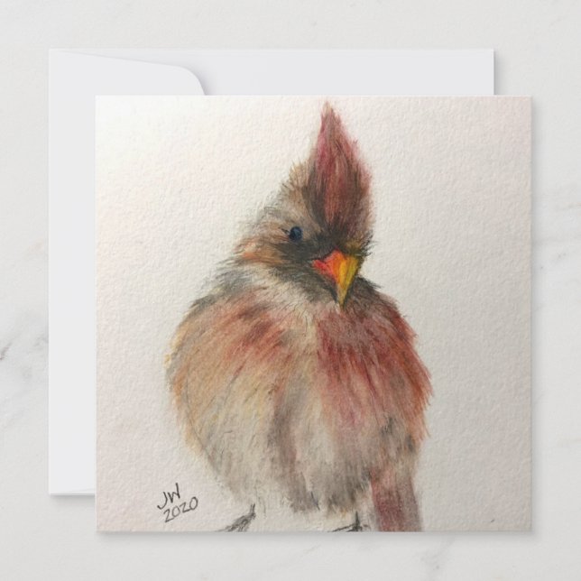 Shy Red Bird Note Card Feiertagskarte (Vorderseite)