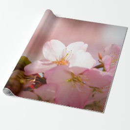 Shy Sakura Blume Shelter selbst hinter Blüten Geschenkpapier