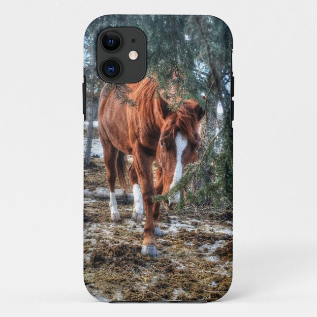Shy Sorrel Mare und Branches Geschenk für Pferdefr Case-Mate iPhone Hülle (Rückseite)