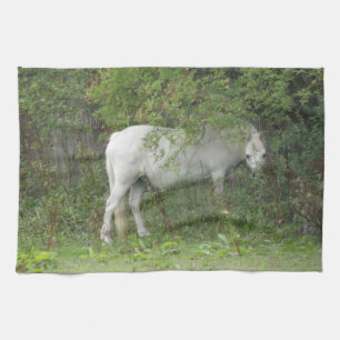 Shy White Horse Kitchtuch Handtuch