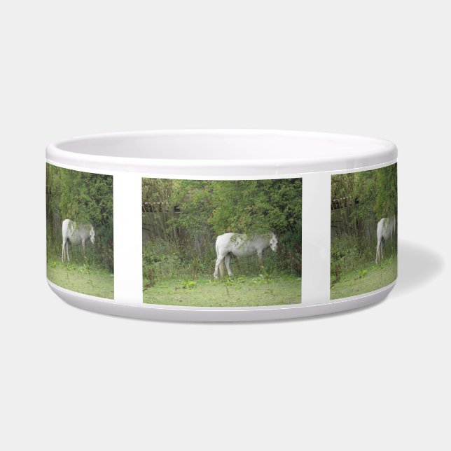 Shy White Horse Napf (Vorderseite)