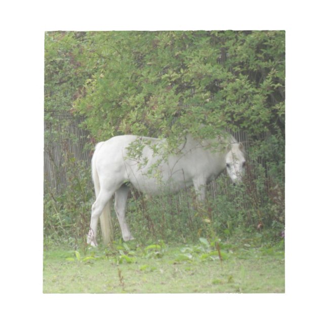 Shy White Horse Notepad Notizblock (Vorderseite)