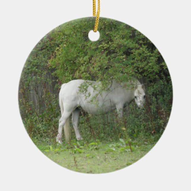 Shy White Horse Ornament (Vorne)