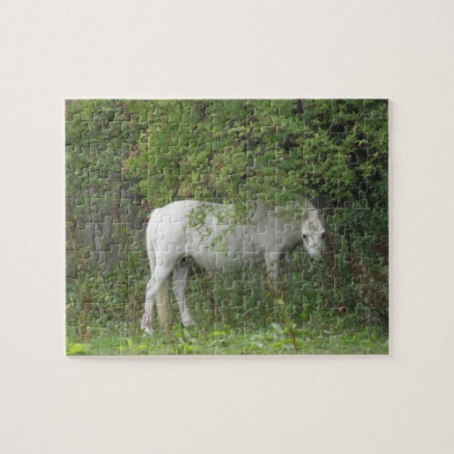 Shy White Horse Puzzle (Horizontal)