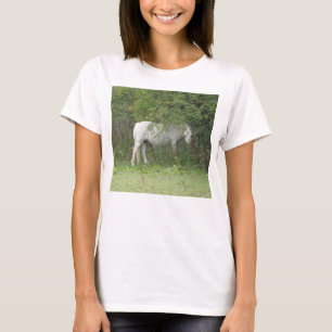 Shy White Horse T Shirt