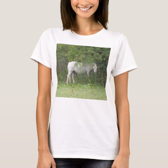 Shy White Horse T Shirt (Vorderseite)