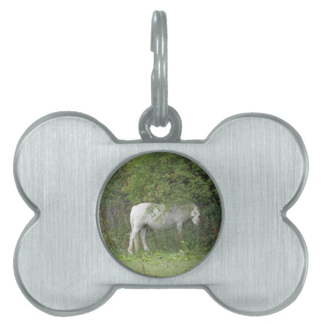 Shy White Horse Tiermarke (Vorderseite)