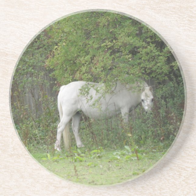Shy White Horse Untersetzer (Vorne)