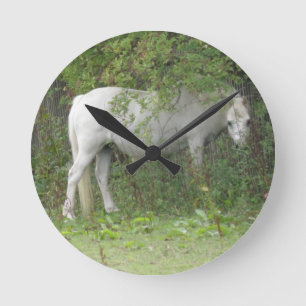 Shy White Horse Wall Clock Runde Wanduhr