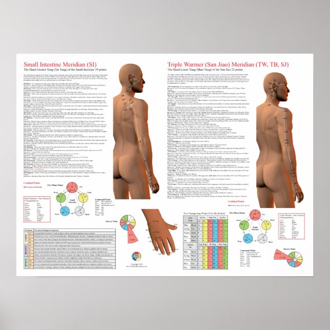 SI TW Meridian Acupuncture Points Poster (Vorne)