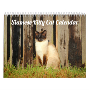 Siam Kitty Cat Niedlich 2021 Kalender