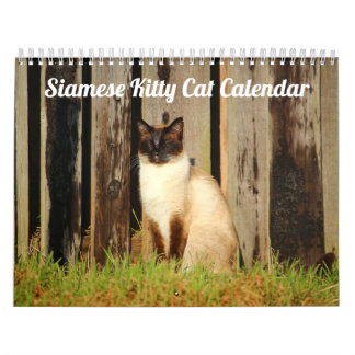 Siam Kitty Cat Niedlich 2021 Kalender