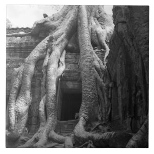 Siam Reap, Kambodscha. Gleich außerhalb von Siam R Fliese
