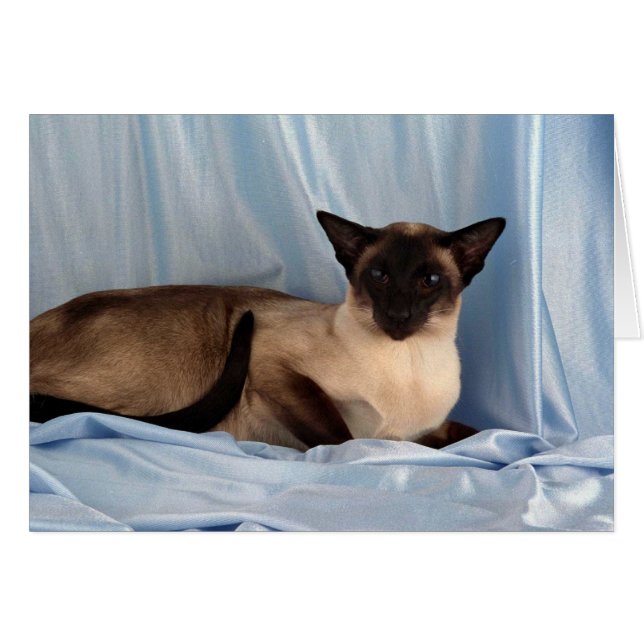 Siam, Siegel (Vorderseite (Horizontal))