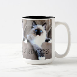 Siames Cat Tasse