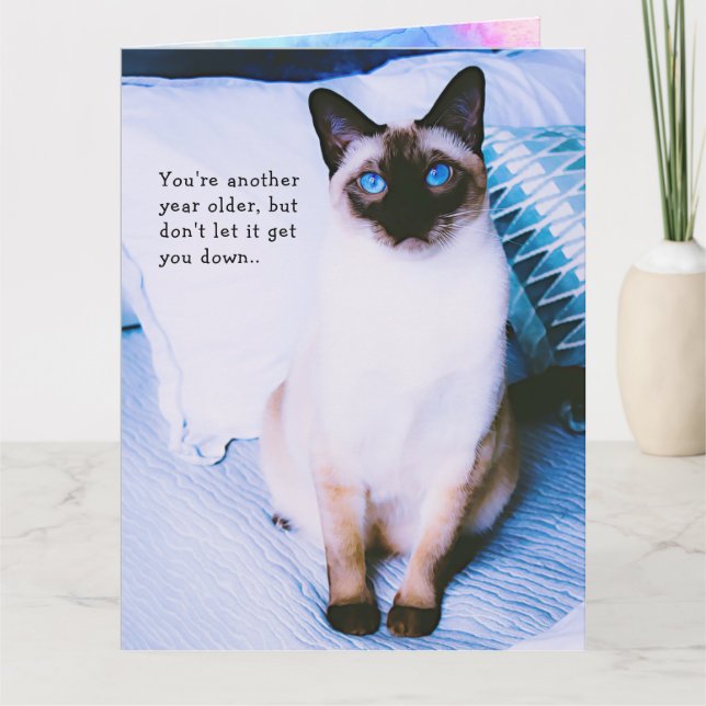 Siamese Birthday Grueting Card Karte (Vorderseite)