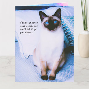 Siamese Birthday Grueting Card Karte
