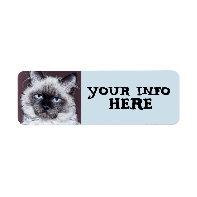 SIAMESE BLAUE MIT AUGEN PERSIAN RÜCKSENDEADRESSEN- (Vorne)