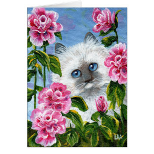 Siamese Burmese Ragdoll Cat Rose Creationarts
