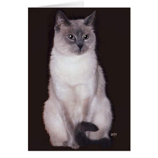 Siamese Cat (Vorne)