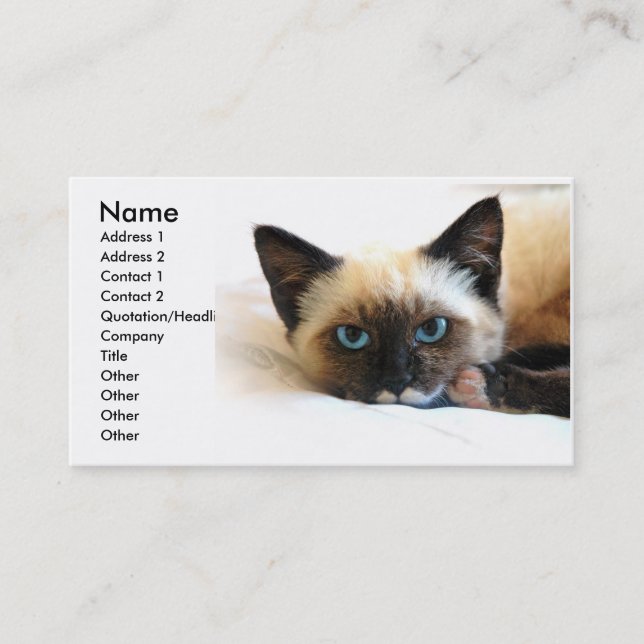 Siamese Cat Business Card Visitenkarte (Vorderseite)