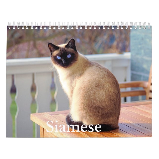 Siamese Cat Calendar Kalender (Titelbild)