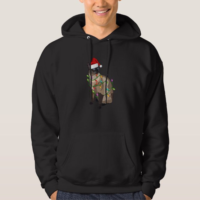 Siamese Cat Christmas Lights Xmas Cat Hoodie (Vorderseite)