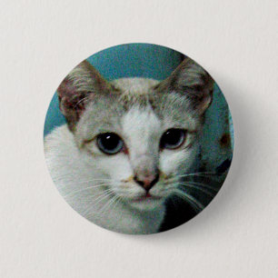 Siamese Cat Friend Button