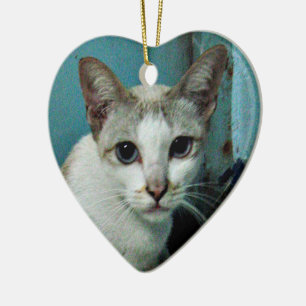 Siamese Cat Friend Keramikornament
