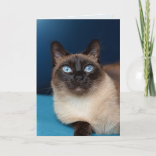 SIAMESE CAT GEBURTSTAG SCHÖNE Grußkarte Karte