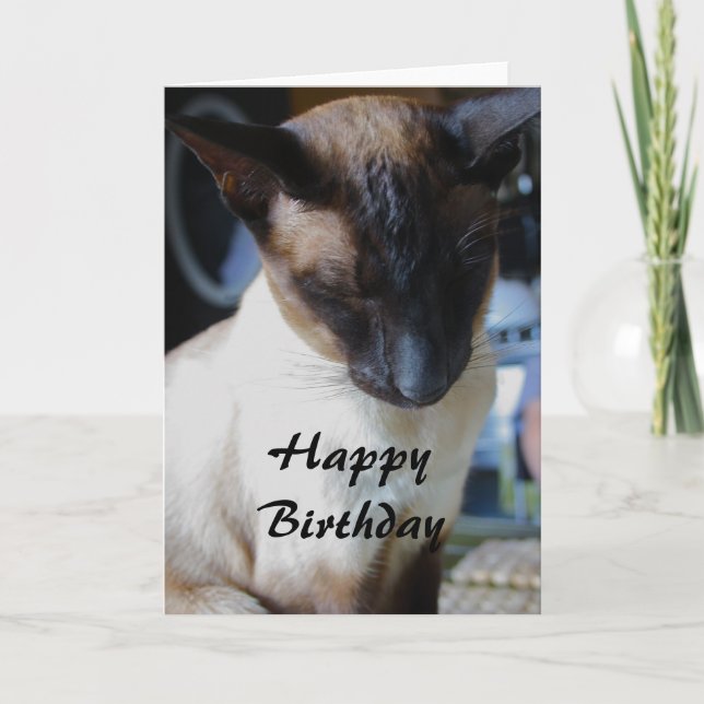 Siamese Cat Happy Birthday Card Karte (Vorderseite)