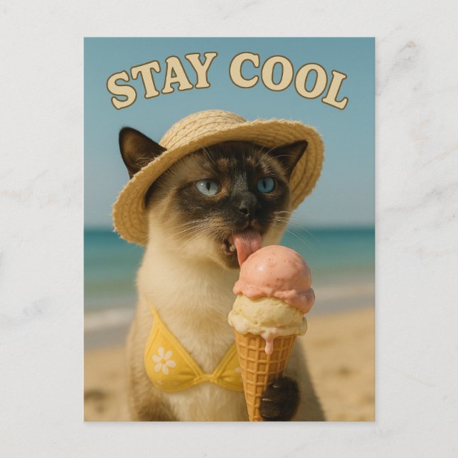 Siamese Cat is licking ice cream stay cool  Postkarte (Vorderseite)