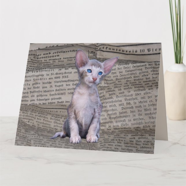 SIAMESE CAT LIEBE BIRTHDAY NEWSPAPER ART Card Karte (Vorderseite)