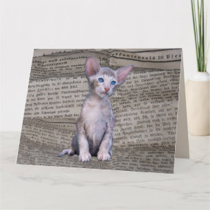 SIAMESE CAT LIEBE BIRTHDAY NEWSPAPER ART Card Karte