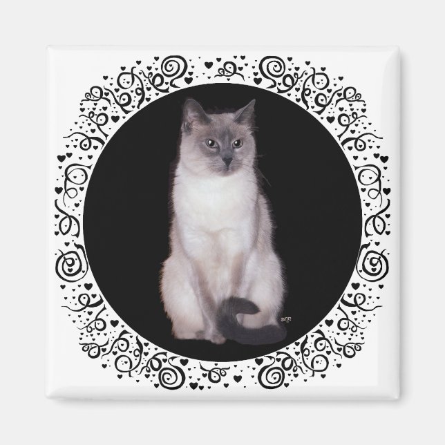 Siamese Cat Magnet (Vorne)