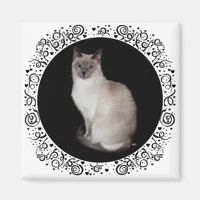 Siamese Cat Magnet (Vorne)
