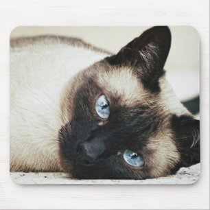 Siamese Cat Mousepad